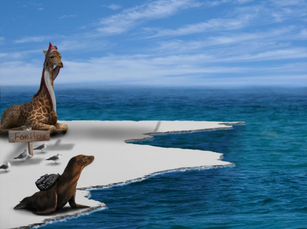 Creation of SeaGull Airways: Step 10